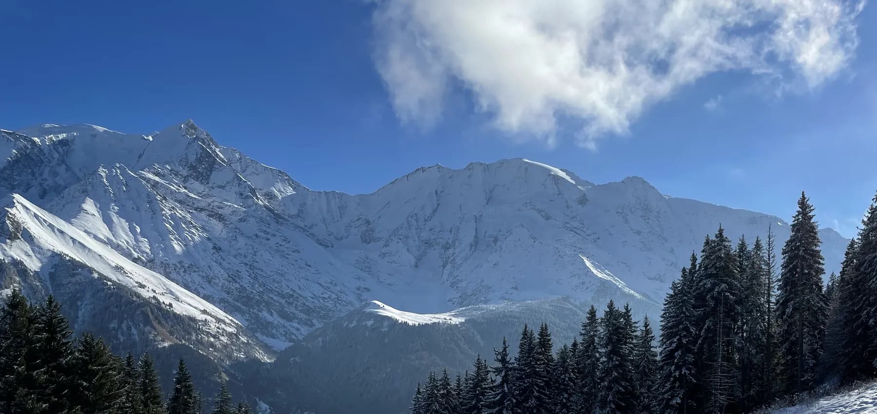 Massif du Mont-Blanc et forêt enneigée depuis les pistes du Val Montjoie